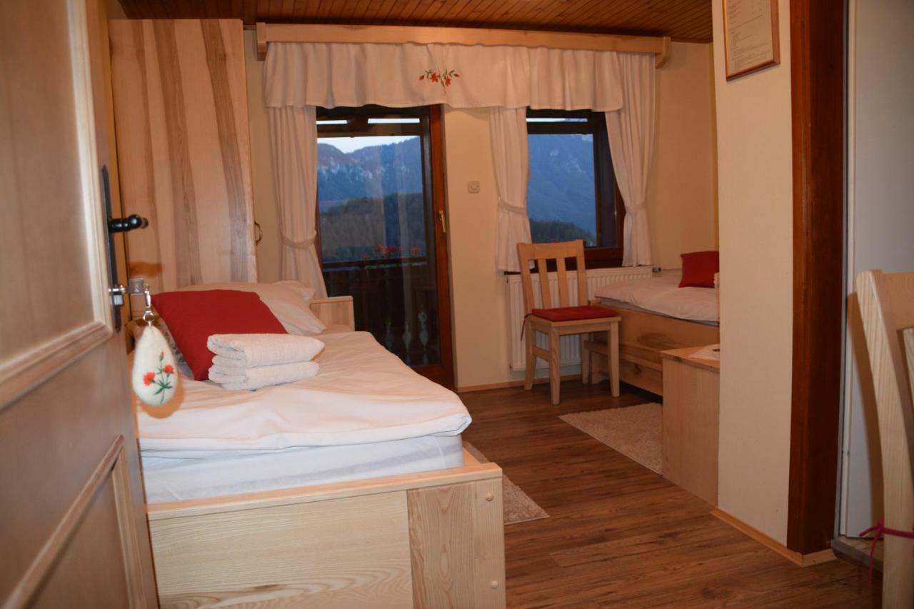 Farm Stay "Alpine Dreams" Solčava Exterior foto